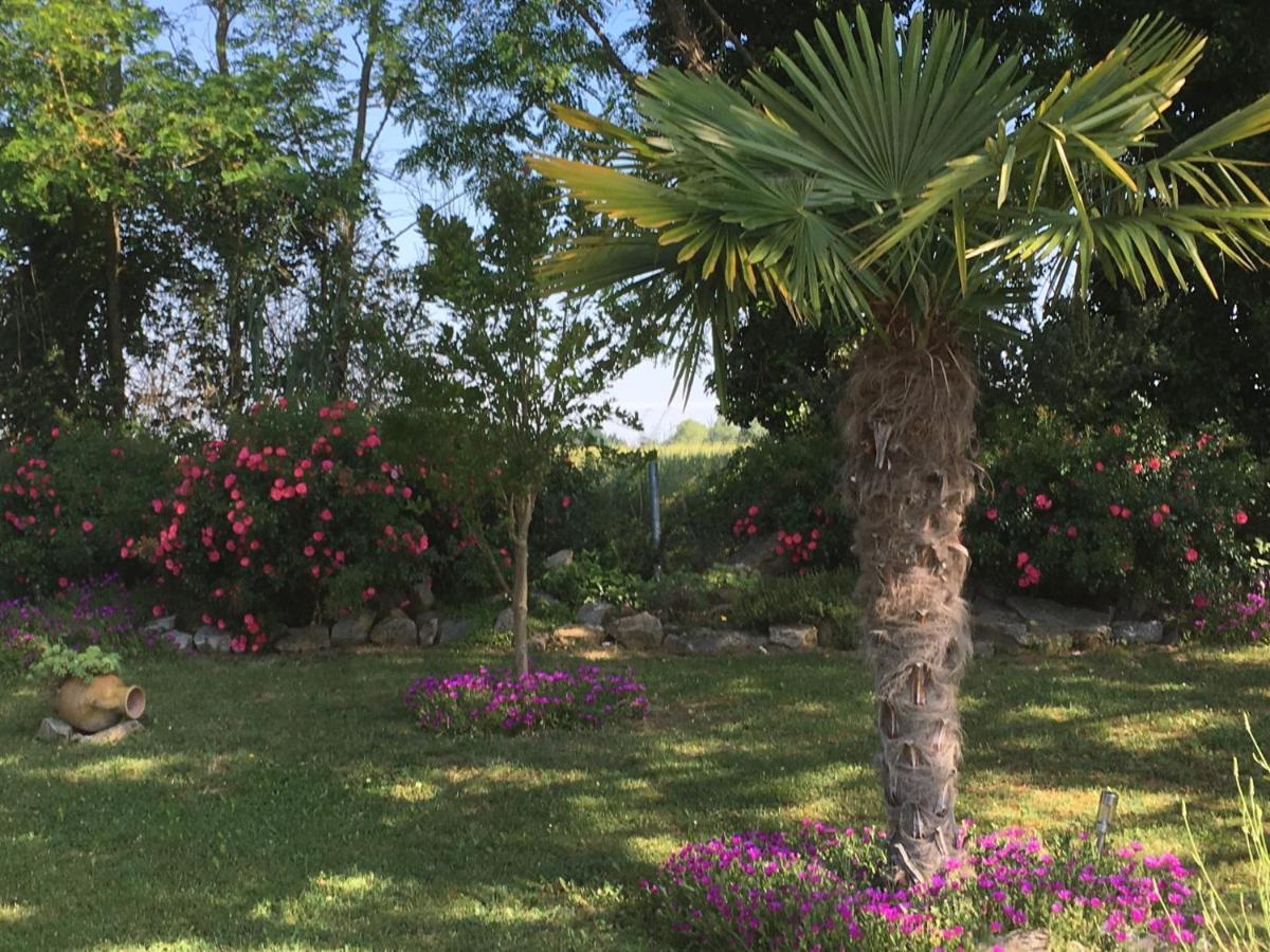 Appartement Mansarde Et Climatise 50 M2 Pompignan  Екстер'єр фото