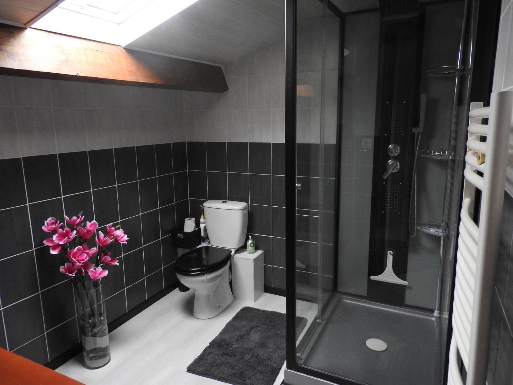 Appartement Mansarde Et Climatise 50 M2 Pompignan  Екстер'єр фото
